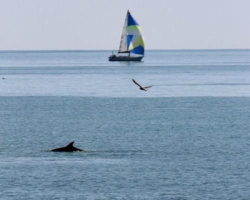 B&B Attico Mare San Benedetto del Tronto Kültér fotó